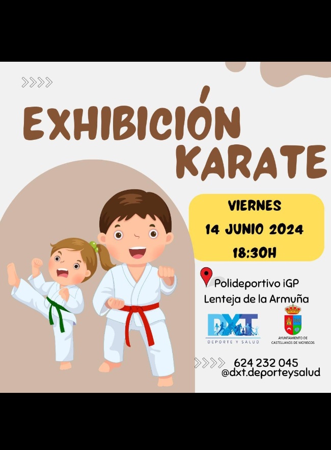 Cartel Exhibición Karate
