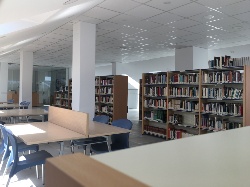 biblioteca 10